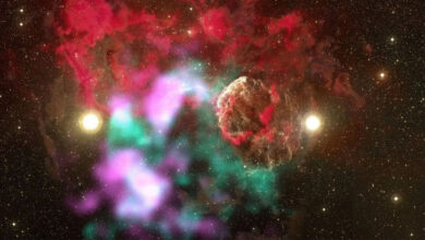 FOTOS: Estrelas gêmeas podem ter explodido como supernovas em caso inédito