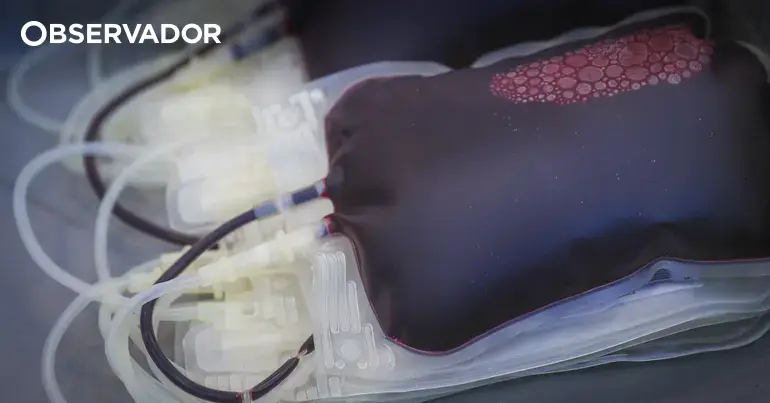 Federação de Dadores apela à dádiva de sangue