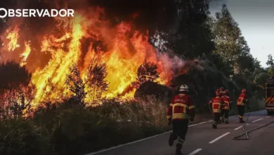 Fogo de Vouzela passou para Águeda e atingiu anexos e casas