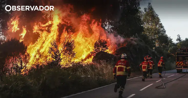 Fogo de Vouzela passou para Águeda e atingiu anexos e casas