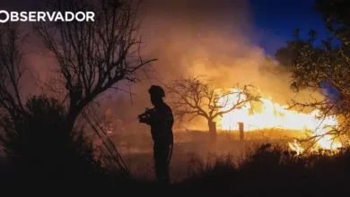 Fogo em Alfândega da Fé controlado