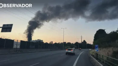 Fogo em Oeiras mobiliza 43 operacionais