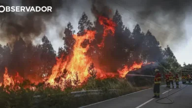 Fogo em Vouzela já causou sete feridos