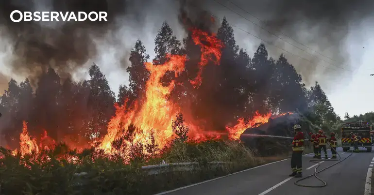 Fogo em Vouzela já causou sete feridos