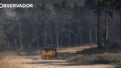 França: Incêndios florestais obrigam a retirar milhares