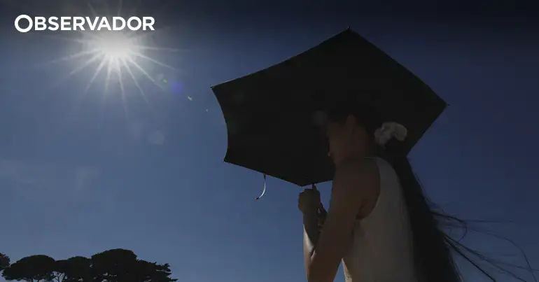 França com pelo menos mais 2.025 mortes devido ao calor