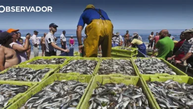 GNR apreende 630 quilos de pescado na ilha Terceira