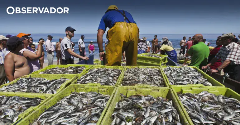 GNR apreende 630 quilos de pescado na ilha Terceira