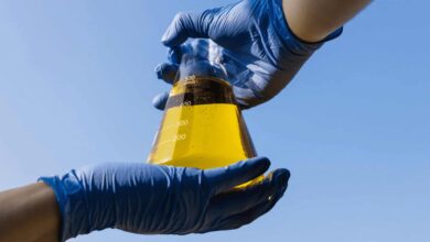 Gasolina agora tem 32% de etanol e estes carros podem sofrer com a nova mistura