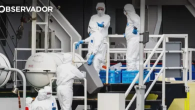 Hantavírus: OMS declara fim do surto ligado a navio