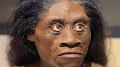 “Hobbits” pré-históricos podem não ter caçado nem usado fogo