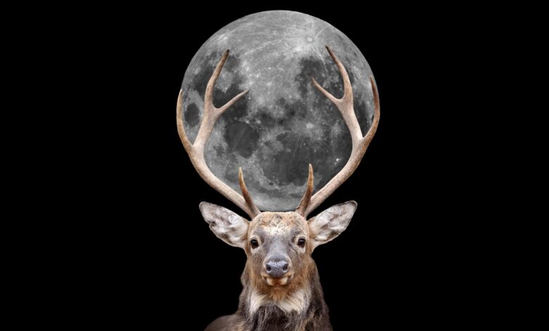 Hoje tem “Lua dos Cervos” no céu – entenda o motivo do nome