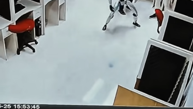 IA se rebelou? Empresa explica vídeo de robô que assustou milhões de pessoas