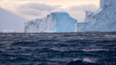 Icebergs do Pacífico podem enfraquecer corrente vital do planeta