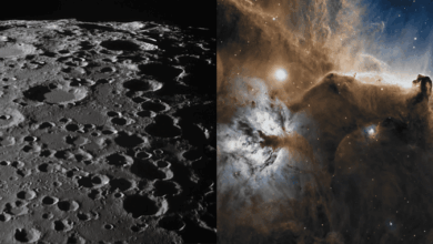 Imagens astronômicas da semana: Polo sul da Lua e uma ‘Cabeça de Cavalo’ espacial