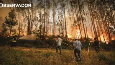 Incêndio. A noite sem dormir em Castanheira do Vouga