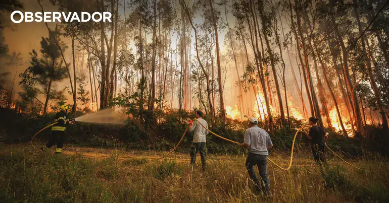 Incêndio. A noite sem dormir em Castanheira do Vouga