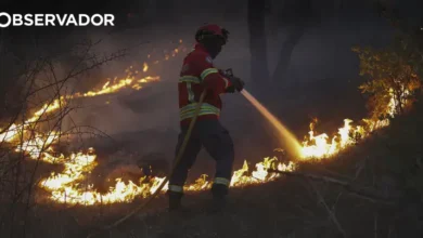 Incêndios. Perigo máximo em 60 concelhos do interior