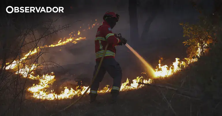 Incêndios. Perigo máximo em 60 concelhos do interior