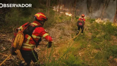 Incêndios já fizeram pelo menos 17 feridos