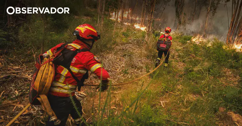 Incêndios já fizeram pelo menos 17 feridos