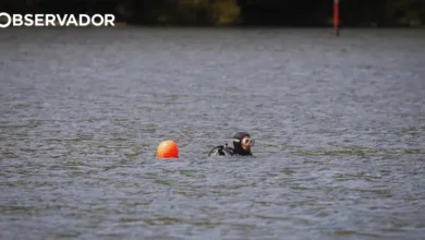 Jovem de 19 anos desaparecido no rio Douro