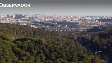 Lisboa encerra 13 espaços florestais devido ao risco de fogo