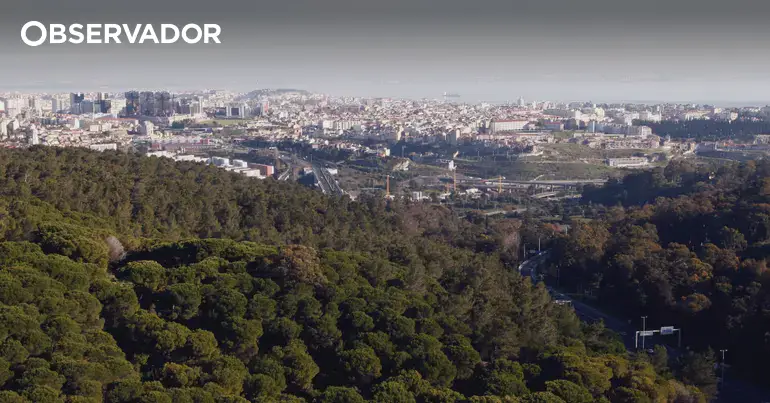 Lisboa encerra 13 espaços florestais devido ao risco de fogo