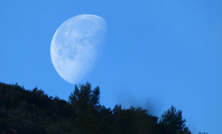 lua