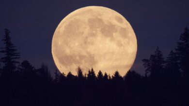 Lua hoje: confira a fase da Lua desta quinta-feira 30/07/2026