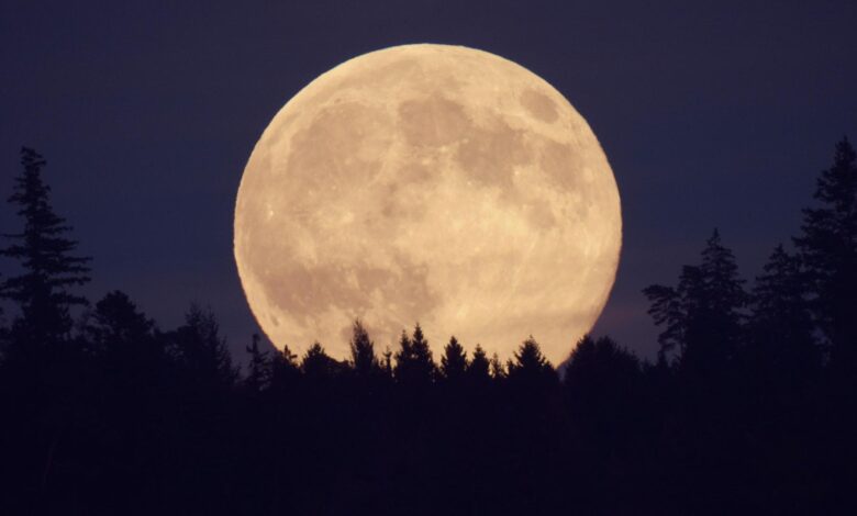 Lua hoje: confira a fase da Lua desta quinta-feira 30/07/2026