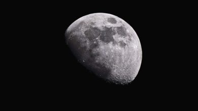 Lua hoje: confira a fase da Lua desta terça-feira 07/07/2026