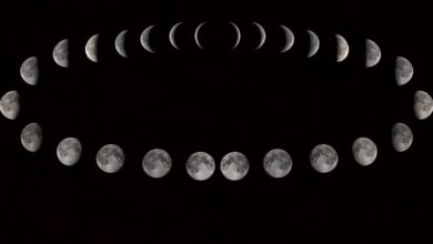 fases da lua