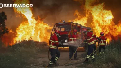 Mais de 15.000 hectares de área ardida em cinco dias