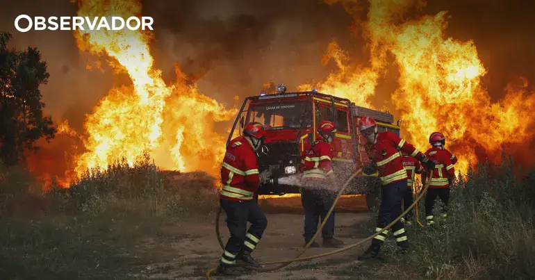 Mais de 15.000 hectares de área ardida em cinco dias