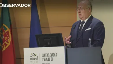Ministro diz que futuro do azeite depende de inovação