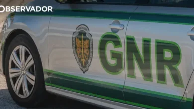 Mulher morre atropelada na passadeira em Oliveira de Azeméis