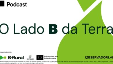 O olival combate as alterações climáticas?