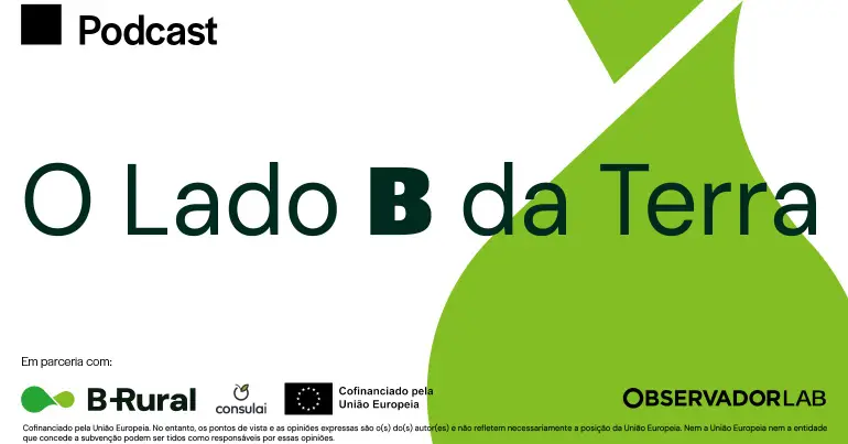 O olival combate as alterações climáticas?