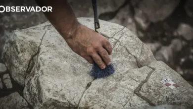 Obras em Guimarães revelam gravuras de 3.000 anos