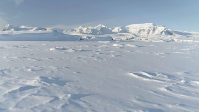 Oceano profundo da Antártida muda de ritmo e ameaça equilíbrio do planeta