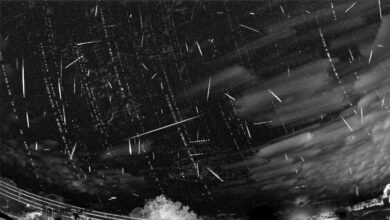 Olhe para cima! Chuvas de meteoros iluminam os céus do Brasil; veja!