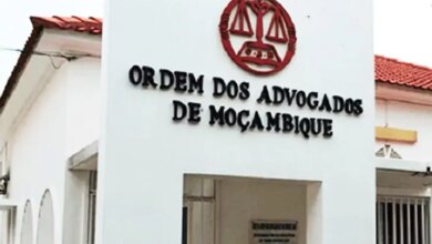 Ordem suspende seis advogados envolvidos na administração de insolvência da Cimentos da Beira
