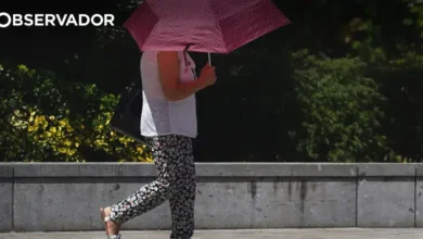 Ozono na Amadora acima do limiar de risco