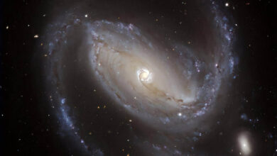Galáxia espiral barrada NGC 1097, com disco nuclear visível ao centro — estrutura semelhante à encontrada por astrônomos da Universidade de Durham no universo primitivo, a mais de 9 bilhões de anos-luz da Terra.