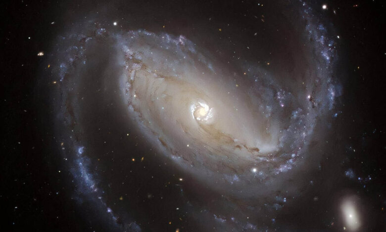 Galáxia espiral barrada NGC 1097, com disco nuclear visível ao centro — estrutura semelhante à encontrada por astrônomos da Universidade de Durham no universo primitivo, a mais de 9 bilhões de anos-luz da Terra.