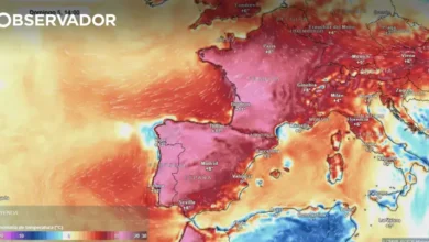 Porque é que esta onda de calor é diferente?