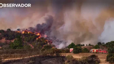Quase todo o país em risco máximo e muito elevado de fogo