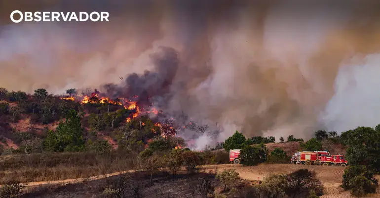 Quase todo o país em risco máximo e muito elevado de fogo