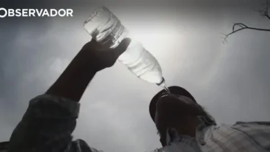 Quase todo o território em risco máximo e muito elevado